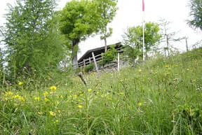 Rundum Bild 12